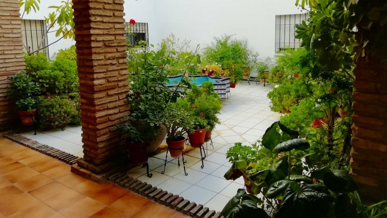 Apartmán Patios De San Rafael Córdoba Exteriér fotografie
