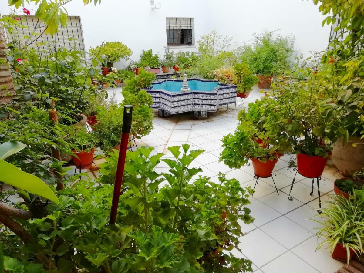 Apartmán Patios De San Rafael Córdoba Exteriér fotografie